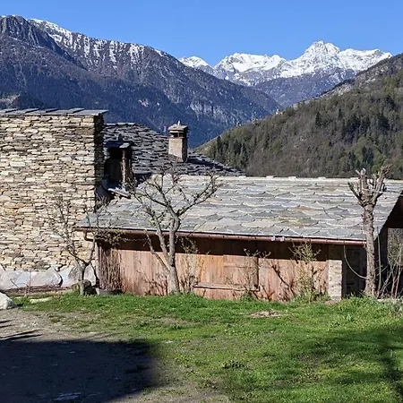 Appartamenti Codirosso Gasthuis 3*